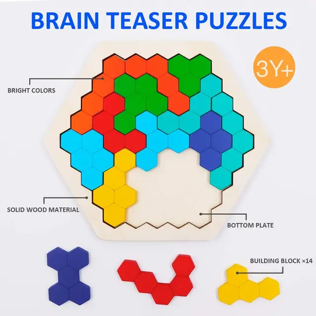 Wooden Brain Teader Puzzle