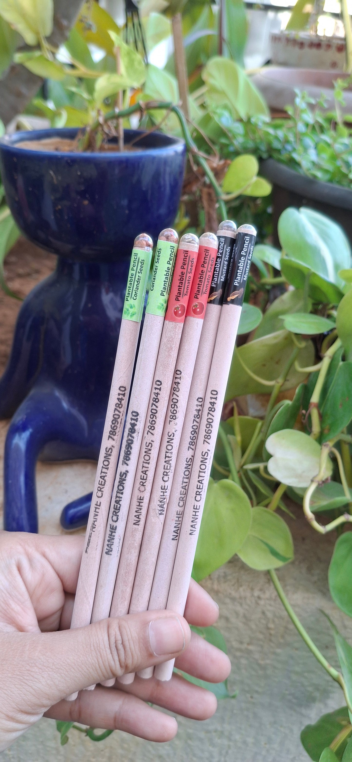Seed Pencil