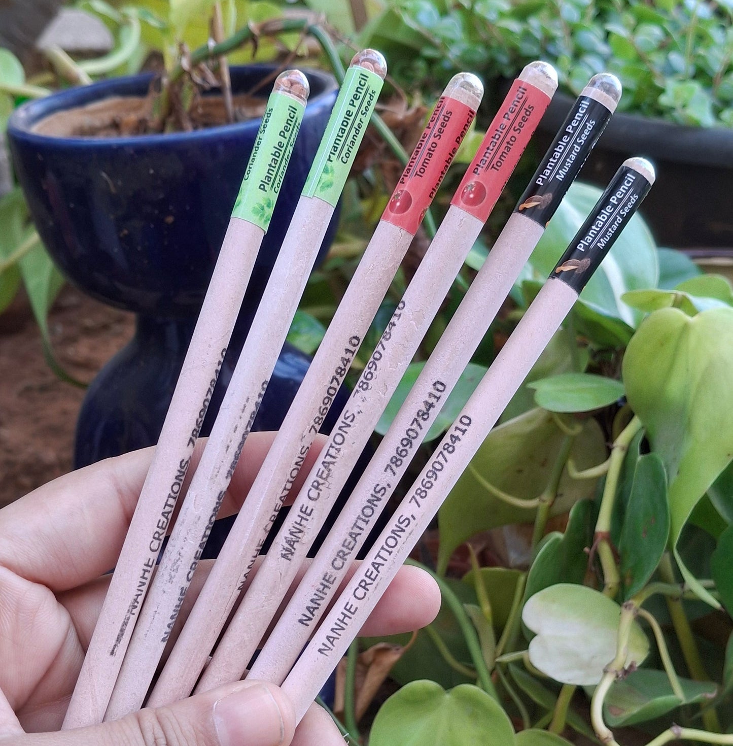 Seed Pencil
